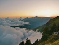 投注法分为哪四种类型?揭秘四种投注策略,助你稳步提升盈利